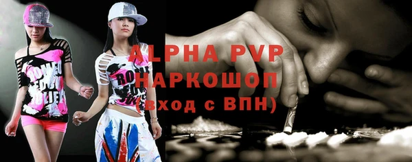 гашиш Богданович