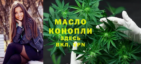 гашиш Богданович