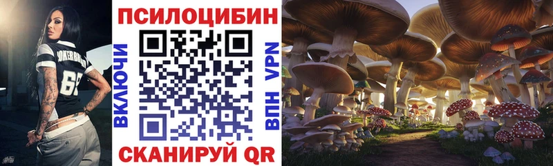 купить закладку  Волжск  Псилоцибиновые грибы Magic Shrooms 
