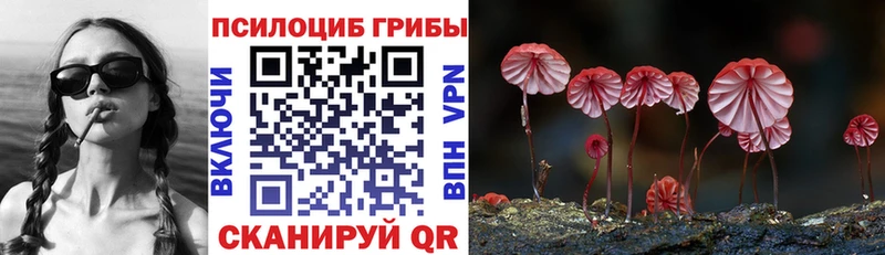 Псилоцибиновые грибы Magic Shrooms Волжск